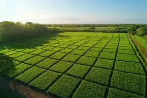 1 hectare en m2 est la mesure incontournable pour les agriculteurs !